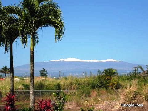 Hawaii Real Estate